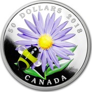 Canada 50 Dollars Murano's Best - Aster with Bumble Bee 2018 50 DOLLARS 2018 CANADA MG coin reverse Canada 50 Dollars Murano's Best - Aster with Bumble Bee 2018 50 DOLLARS 2018 CANADA MG coin reverse