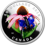 Canada 50 Dollars Murano's Best: Purple Coneflower with Eastern Tailed Blue Butterfly 2018 50 DOLLARS 2018 CANADA MG coin reverse Canada 50 Dollars Murano's Best: Purple Coneflower with Eastern Tailed Blue Butterfly 2018 50 DOLLARS 2018 CANADA MG coin reverse
