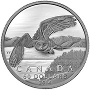 Canada 50 Dollars Snowy Owl 2014 KM# 1933 CANADA 50 DOLLARS 2014 coin reverse Canada 50 Dollars Snowy Owl 2014 KM# 1933 CANADA 50 DOLLARS 2014 coin reverse