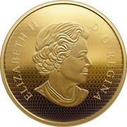 Canada 500 Dollars Maple Leaves 2017 Prooof ELIZABETH II D • G • REGINA SB coin obverse Canada 500 Dollars Maple Leaves 2017 Prooof ELIZABETH II D • G • REGINA SB coin obverse