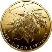 Canada 500 Dollars Maple Leaves 2017 Prooof 9999 AU 5 OZ CANADA • 500 DOLLARS • 2017 MB coin reverse Canada 500 Dollars Maple Leaves 2017 Prooof 9999 AU 5 OZ CANADA • 500 DOLLARS • 2017 MB coin reverse