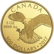 Canada 500 Dollars Peregrine Falcon 2017 Proof CANADA 5 OZ 9999 AU ED 500 DOLLARS ∙ 2017 coin reverse Canada 500 Dollars Peregrine Falcon 2017 Proof CANADA 5 OZ 9999 AU ED 500 DOLLARS ∙ 2017 coin reverse