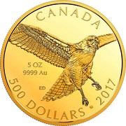 Canada 500 Dollars Red-Tailed Hawk 2017 Proof CANADA 5 OZ 9999 AU ED 500 DOLLARS • 2017 coin reverse Canada 500 Dollars Red-Tailed Hawk 2017 Proof CANADA 5 OZ 9999 AU ED 500 DOLLARS • 2017 coin reverse