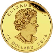 Canada 75 Dollars FIFA Women's World Cup - The Soccer Ball 2015 Proof KM# 1997 ELIZABETH II 75 DOLLARS 2015 coin obverse Canada 75 Dollars FIFA Women's World Cup - The Soccer Ball 2015 Proof KM# 1997 ELIZABETH II 75 DOLLARS 2015 coin obverse