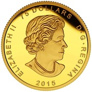 Canada 75 Dollars The Allied 2015 Proof KM# 2044 ELIZABETH II 75 DOLLARS D G REGINA 2015 coin obverse Canada 75 Dollars The Allied 2015 Proof KM# 2044 ELIZABETH II 75 DOLLARS D G REGINA 2015 coin obverse
