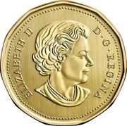 Canada Dollar Burrowing Owl 2018 Specimen ELIZABETH II D • G • REGINA SB coin obverse Canada Dollar Burrowing Owl 2018 Specimen ELIZABETH II D • G • REGINA SB coin obverse