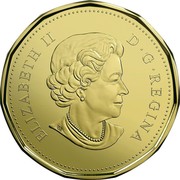 Canada Dollar Holiday 2017 ELIZABETH II D • G • REGINA SB coin obverse Canada Dollar Holiday 2017 ELIZABETH II D • G • REGINA SB coin obverse