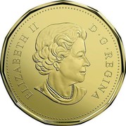 Canada Dollar Snow Goose 2017 ELIZABETH II D • G • REGINA SB coin obverse Canada Dollar Snow Goose 2017 ELIZABETH II D • G • REGINA SB coin obverse