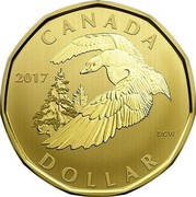 Canada Dollar Snow Goose 2017 CANADA 2017 DOLLAR DCW coin reverse Canada Dollar Snow Goose 2017 CANADA 2017 DOLLAR DCW coin reverse