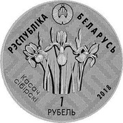 Belarus 1 Rouble Reserve Kotra 2018 Proof-like РЭСПУБЛІКА БЕЛАРУСЬ КАСАЧ СІБІРСКІ 1 РУБЕЛЬ 2018 coin obverse