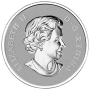 Canada 10 Dollars Maple Leaf 2014 KM# 1655 ELIZABETH II D G REGINA coin obverse Canada 10 Dollars Maple Leaf 2014 KM# 1655 ELIZABETH II D G REGINA coin obverse