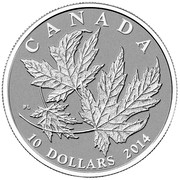 Canada 10 Dollars Maple Leaf 2014 KM# 1655 CANADA PL 10 DOLLARS 2014 coin reverse Canada 10 Dollars Maple Leaf 2014 KM# 1655 CANADA PL 10 DOLLARS 2014 coin reverse