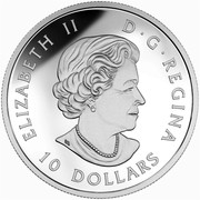 Canada 10 Dollars Reflections of Wildlife Grizzly Bear 2016 Proof KM# 2124 ELIZABETH II D ∙ G ∙ REGINA 10 DOLLARS coin obverse