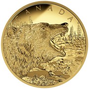 Canada 1250 Dollars Roaring Grizzly Bear 2016 Proof CANADA coin reverse Canada 1250 Dollars Roaring Grizzly Bear 2016 Proof CANADA coin reverse