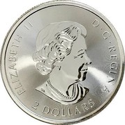 Canada 2 Dollars Polar Bear 2018 ELIZABETH II D ∙ G ∙ REGINA SB 2 DOLLARS coin obverse Canada 2 Dollars Polar Bear 2018 ELIZABETH II D ∙ G ∙ REGINA SB 2 DOLLARS coin obverse