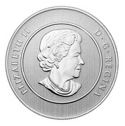 Canada 20 Dollars Canoe 2011 KM# 1176 ELIZABETH II D∙G∙REGINA coin obverse Canada 20 Dollars Canoe 2011 KM# 1176 ELIZABETH II D∙G∙REGINA coin obverse