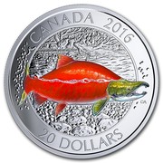 Canada 20 Dollars Sockeye Salmon 2016 Proof KM# 2178 CANADA 20 DOLLARS 2016 coin reverse Canada 20 Dollars Sockeye Salmon 2016 Proof KM# 2178 CANADA 20 DOLLARS 2016 coin reverse