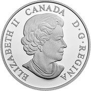 Canada 20 Dollars The Bold Black Bear 2017 Proof ELIZABETH II CANADA D ∙ G ∙ REGINA coin obverse