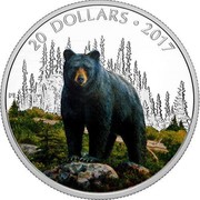 Canada 20 Dollars The Bold Black Bear 2017 Proof 20 DOLLARS ∙ 2017 PL coin reverse