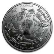 Canada 200 Dollars Canadian Vast Prairies 2016 CANADA 200 DOLLARS coin reverse Canada 200 Dollars Canadian Vast Prairies 2016 CANADA 200 DOLLARS coin reverse