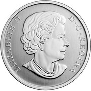 Canada 25 Cents Cinnamon Teal Duck 2015 Proof KM# 1947 ELIZABETH II D ∙ G ∙ REGINA coin obverse Canada 25 Cents Cinnamon Teal Duck 2015 Proof KM# 1947 ELIZABETH II D ∙ G ∙ REGINA coin obverse