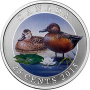 Canada 25 Cents Cinnamon Teal Duck 2015 Proof KM# 1947 CANADA 25 CENTS 2015 coin reverse Canada 25 Cents Cinnamon Teal Duck 2015 Proof KM# 1947 CANADA 25 CENTS 2015 coin reverse