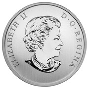 Canada 25 Cents FIFA World Cup 2014 Specimen KM# 1632 ELIZABETH II D∙G∙REGINA coin obverse Canada 25 Cents FIFA World Cup 2014 Specimen KM# 1632 ELIZABETH II D∙G∙REGINA coin obverse