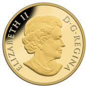 Canada 25 Cents Rocky Mountain Bighorn Sheep 2014 Proof KM# 1494 ELIZABETH II D∙G∙REGINA coin obverse Canada 25 Cents Rocky Mountain Bighorn Sheep 2014 Proof KM# 1494 ELIZABETH II D∙G∙REGINA coin obverse