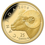 Canada 25 Cents Rocky Mountain Bighorn Sheep 2014 Proof KM# 1494 CANADA 2014 25 CENTS ED coin reverse Canada 25 Cents Rocky Mountain Bighorn Sheep 2014 Proof KM# 1494 CANADA 2014 25 CENTS ED coin reverse