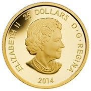 Canada 25 Dollars Pope John Paul II 2014 Proof KM# 1688 ELIZABETH II 25 DOLLARS D G REGINA 2014 coin obverse Canada 25 Dollars Pope John Paul II 2014 Proof KM# 1688 ELIZABETH II 25 DOLLARS D G REGINA 2014 coin obverse