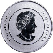 Canada 25 Dollars Winter Fun 2016 KM# 2220 ELIZABETH II D ∙ G ∙ REGINA coin obverse Canada 25 Dollars Winter Fun 2016 KM# 2220 ELIZABETH II D ∙ G ∙ REGINA coin obverse