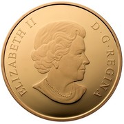 Canada 300 Dollars New Brunswick 2010 Proof KM# 1078 ELIZABETH II D ∙ G ∙ REGINA coin obverse Canada 300 Dollars New Brunswick 2010 Proof KM# 1078 ELIZABETH II D ∙ G ∙ REGINA coin obverse