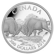 Canada 300 Dollars The Bison - Challenge for Power 2014 Proof KM# 1552 CANADA 2014 300 DOLLARS coin reverse