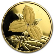 Canada 350 Dollars Ontario White Trillium 2003 Proof KM# 504 PS coin reverse Canada 350 Dollars Ontario White Trillium 2003 Proof KM# 504 PS coin reverse