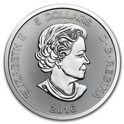 Canada 5 Dollars Cougar Predator 2016  ELIZABETH II 5 DOLLARS D ∙G ∙ REGINA 2016 coin obverse Canada 5 Dollars Cougar Predator 2016  ELIZABETH II 5 DOLLARS D ∙G ∙ REGINA 2016 coin obverse
