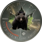 Canada 5 Dollars Wildlife - Grizzly Bear 2014 CANADA 9999 9999 URSUS ARCTOS HORRIBILIS FINE SILVER 1 OZ ARGENT PUR coin reverse Canada 5 Dollars Wildlife - Grizzly Bear 2014 CANADA 9999 9999 URSUS ARCTOS HORRIBILIS FINE SILVER 1 OZ ARGENT PUR coin reverse