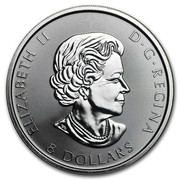 Canada 8 Dollars Bison 2016  ELIZABETH II D ∙ G ∙ REGINA 8 DOLLARS coin obverse Canada 8 Dollars Bison 2016  ELIZABETH II D ∙ G ∙ REGINA 8 DOLLARS coin obverse