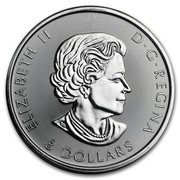 Canada 8 Dollars Snowy Gyrfalcon 2016  ELIZABETH II D ∙ G ∙ REGINA 8 DOLLARS coin obverse Canada 8 Dollars Snowy Gyrfalcon 2016  ELIZABETH II D ∙ G ∙ REGINA 8 DOLLARS coin obverse