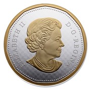 Canada Dollar Big Coin Series Golden Loon 2015 ELIZABETH II D ∙ G ∙ REGINA SB coin obverse Canada Dollar Big Coin Series Golden Loon 2015 ELIZABETH II D ∙ G ∙ REGINA SB coin obverse