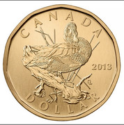 Canada Dollar Blue-winged Teal 2013 Proof KM# 1360 CANADA 2013 GL DOLLAR coin reverse Canada Dollar Blue-winged Teal 2013 Proof KM# 1360 CANADA 2013 GL DOLLAR coin reverse