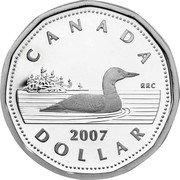 Canada Dollar Silver edition Loonie 2007 KM# 495a ELIZABETH II D ∙ G ∙ REGINA coin obverse Canada Dollar Silver edition Loonie 2007 KM# 495a ELIZABETH II D ∙ G ∙ REGINA coin obverse