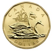 Canada Dollar Trumpeter Swan 2007 (ml) KM# 688 CANADA KB 2007 DOLLAR coin reverse Canada Dollar Trumpeter Swan 2007 (ml) KM# 688 CANADA KB 2007 DOLLAR coin reverse