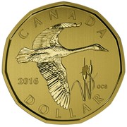 Canada Dollar Tundra Swan Loonie 2016 Specimen KM# 2088 CANADA 2016 GCS DOLLAR coin reverse