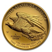 USA One Hundred Dollars American Liberty 2015 W KM# 617 UNITED STATES OF AMERICA, W PCB DE E PLURIBUS UNUM 1 OZ. .9999 FINE GOLD ONE HUNDRED DOLLARS coin reverse USA One Hundred Dollars American Liberty 2015 W KM# 617 UNITED STATES OF AMERICA, W PCB DE E PLURIBUS UNUM 1 OZ. .9999 FINE GOLD ONE HUNDRED DOLLARS coin reverse