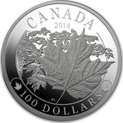 Canada 100 Dollars Majestic Maple Leaves 2014 Proof KM# 1761 CANADA 2014 PL 100 DOLLARS coin reverse Canada 100 Dollars Majestic Maple Leaves 2014 Proof KM# 1761 CANADA 2014 PL 100 DOLLARS coin reverse