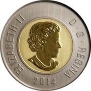 Canada 2 Dollars Baby Rabbits 2014 KM# 1638 ELIZABETH II D ∙ G ∙ REGINA 2014 coin obverse Canada 2 Dollars Baby Rabbits 2014 KM# 1638 ELIZABETH II D ∙ G ∙ REGINA 2014 coin obverse