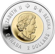 Canada 2 Dollars Wait for Me - Daddy 2014 KM# 1711 ELIZABETH II D ∙ G ∙ REGINA CANADA 2 DOLLARS coin obverse Canada 2 Dollars Wait for Me - Daddy 2014 KM# 1711 ELIZABETH II D ∙ G ∙ REGINA CANADA 2 DOLLARS coin obverse