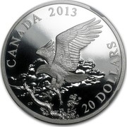 Canada 20 Dollars The Bald Eagle - Returning from the Hunt 2013 Proof KM# 1479 CANADA 2013 CD 20 DOLLARS coin reverse Canada 20 Dollars The Bald Eagle - Returning from the Hunt 2013 Proof KM# 1479 CANADA 2013 CD 20 DOLLARS coin reverse