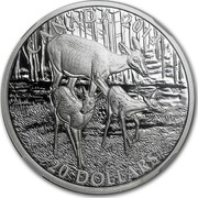 Canada 20 Dollars The White-Tailed Deer - A Doe and her Fawns 2014 Proof KM# 1743 CANADA 2014 CD 20 DOLLARS coin reverse Canada 20 Dollars The White-Tailed Deer - A Doe and her Fawns 2014 Proof KM# 1743 CANADA 2014 CD 20 DOLLARS coin reverse