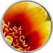 Canada 25 Cents Prickly Pear Cactus 2013 Proof KM# 1491 CD coin reverse Canada 25 Cents Prickly Pear Cactus 2013 Proof KM# 1491 CD coin reverse